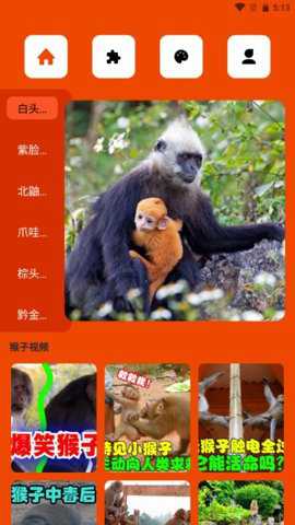 悟空玩乐园下载