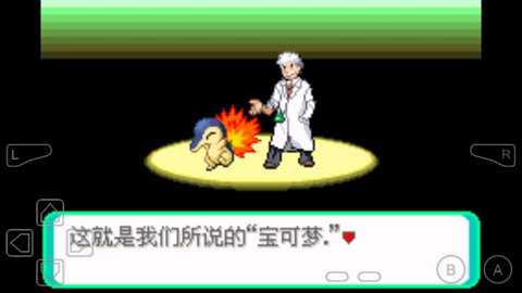 口袋妖怪黑色前兆内置作弊版