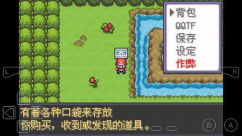 口袋妖怪黑色前兆内置作弊版