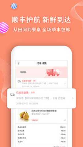 年丰大当家下载