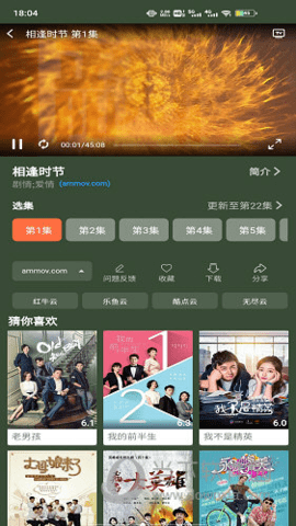 蓝月影视