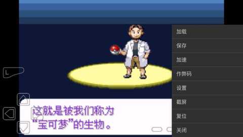 口袋妖怪永恒纪元内置作弊版