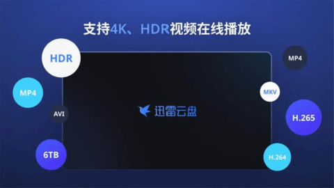 迅雷云盘TV版