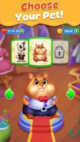 PetCandyPuzzle