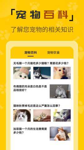 人猫翻译机