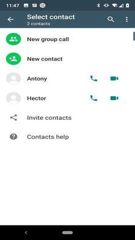 whatsapp business