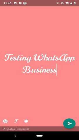 whatsapp business