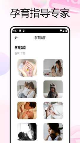 妈妈树孕育下载