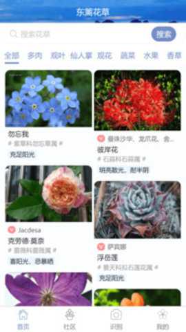 东篱花草app