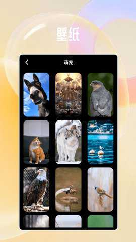 六合图库宝典