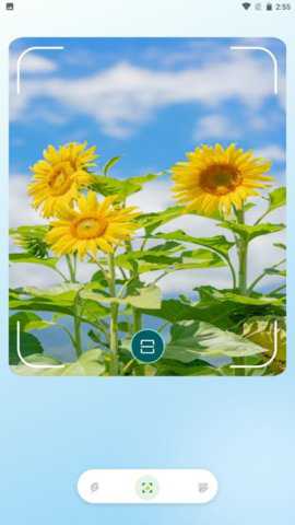 浮空秘镜花园
