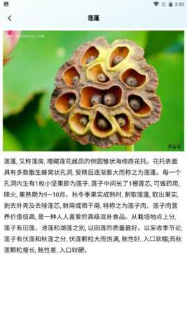 浮空秘镜花园