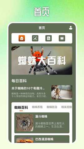 蜘蛛大玩家