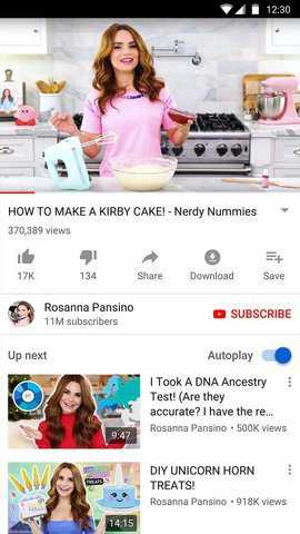 YouTube Lite