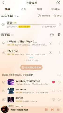 酷我音乐珍藏版下载
