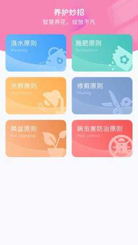 妙手生花