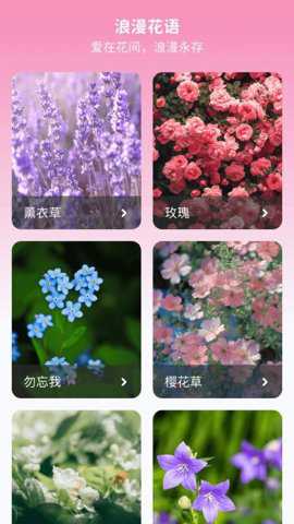 妙手生花