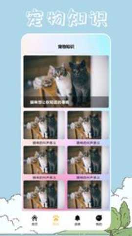 桌面宠物壁纸软件下载