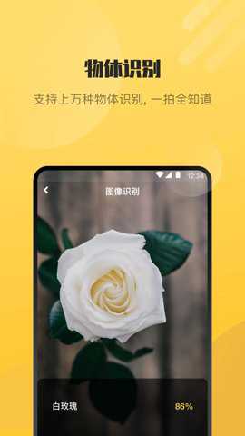 AI爱识别下载