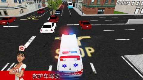 死亡终极驾驶3d下载