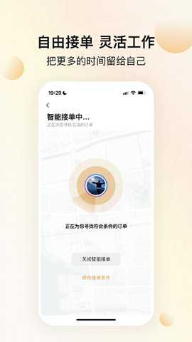龙猫设计