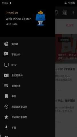 网络视频投屏