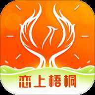 恋上梧桐