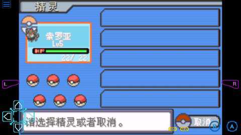 口袋妖怪生与死下载