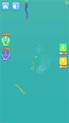 超级蝌蚪进化