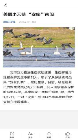 南阳政务下载