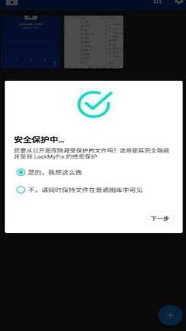 lockmypix专业版