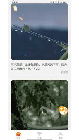 福慧双修下载