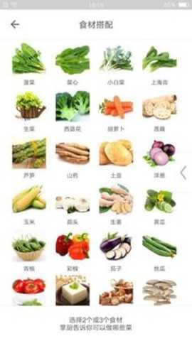掌厨下载