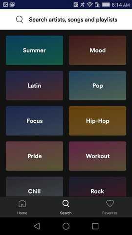 Spotify lite