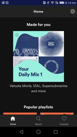 Spotify lite