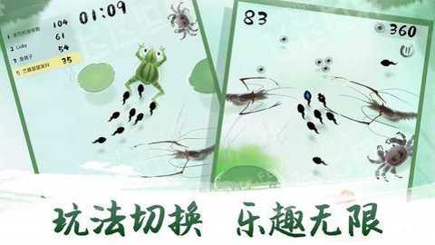 鱼戏荷塘