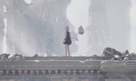 尼尔康乃馨下载