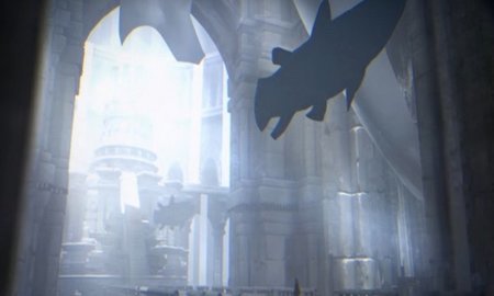 尼尔康乃馨下载