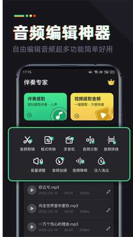 伴奏专家下载