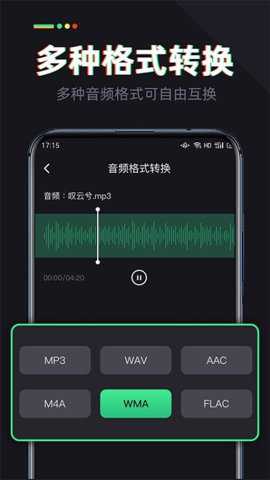 伴奏专家下载