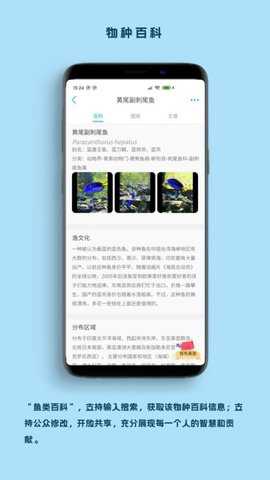 看鱼app