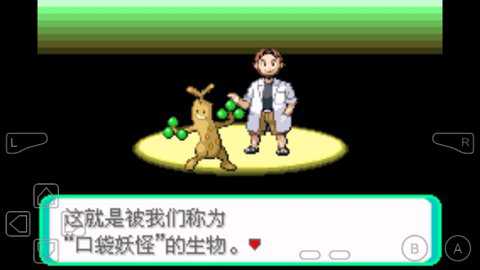 口袋妖怪心魂之羽