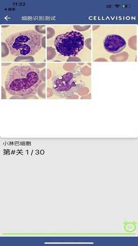 cellatlas下载