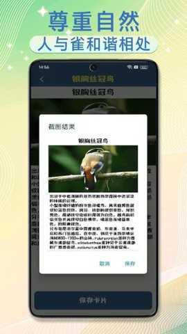 雀实有趣极速版