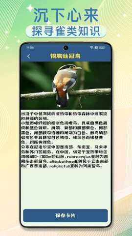 雀实有趣极速版