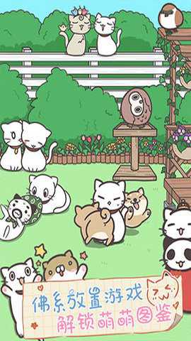 猫咪饲养日常下载