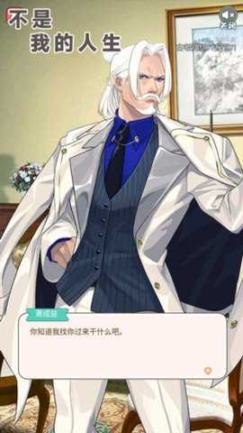 不是我的人生下载