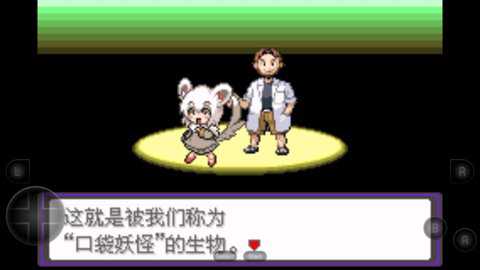 口袋妖怪漆黑的魅影萌版