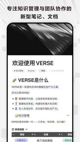verse软件