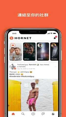 hornet下载